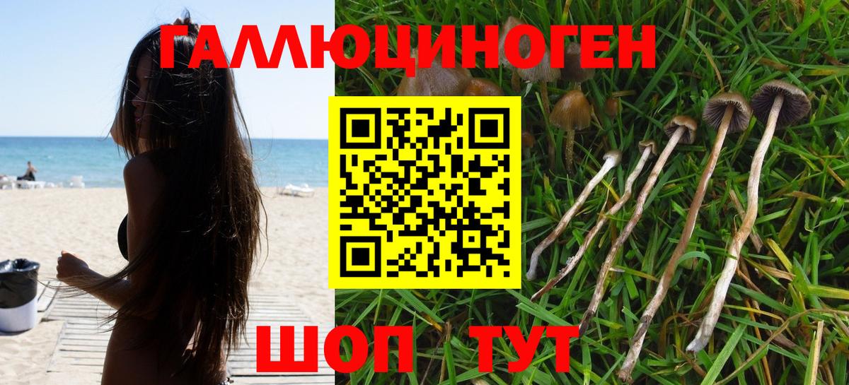 Псилоцибиновые грибы прущие грибы  Вход с VPN  Новочеркасск 