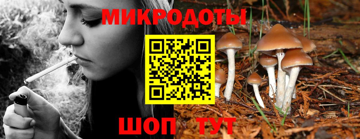 Псилоцибиновые грибы MAGIC MUSHROOMS Новочеркасск